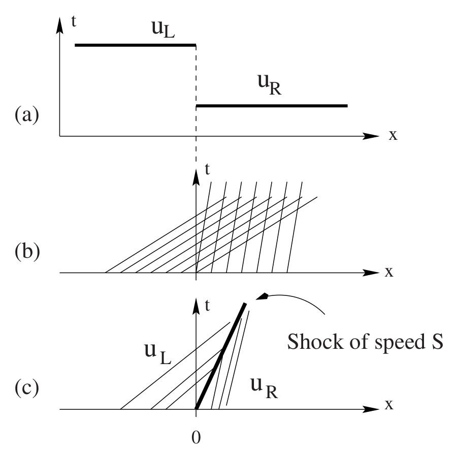 Toro (2009) Figure 2.13